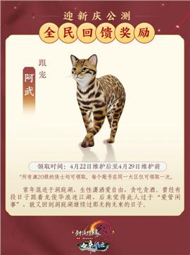 天龙八部私服军衔